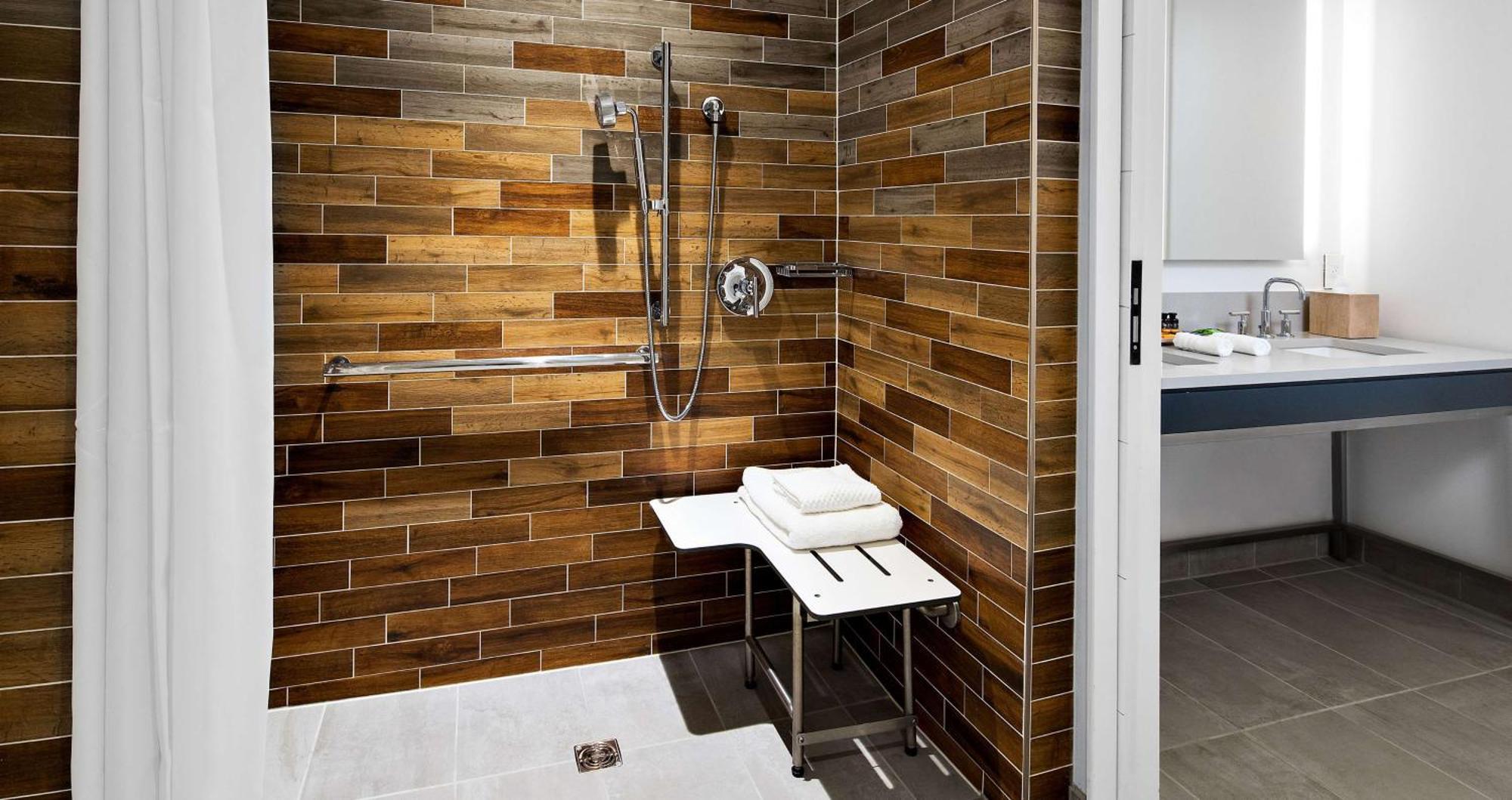 King Room Roll Shower Partial View Mobility Access
