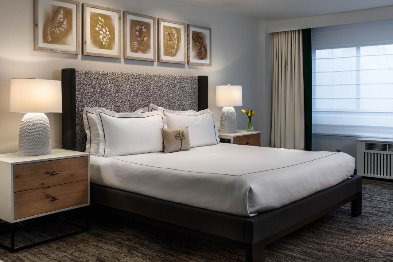 Deluxe King Room-Accessible,957927262:JPEG