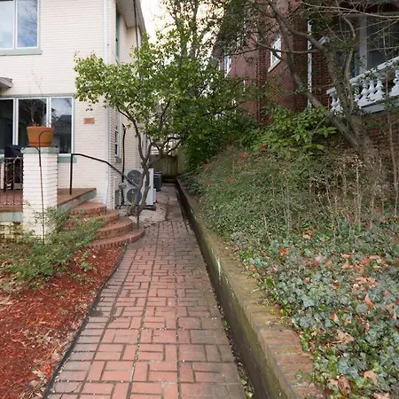 Cathedral Charmer-- 2 Bedroom English Basement, With Garden Access-3